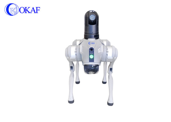 OKAF Aeroporto metropolitano ferrovia ad alta velocità biomimentico quadrupede robot cane AI riconoscimento facciale pattuglia robot di sicurezza cane