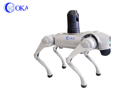 OKAF Aeroporto metropolitano ferrovia ad alta velocità biomimentico quadrupede robot cane AI riconoscimento facciale pattuglia robot di sicurezza cane